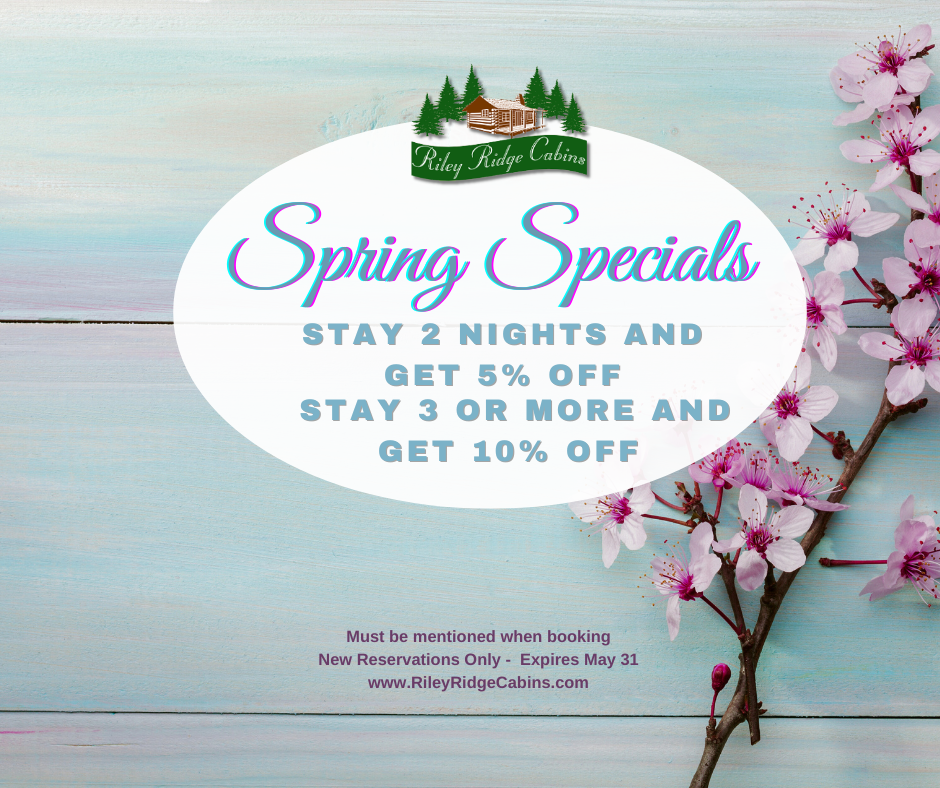 spring special ad