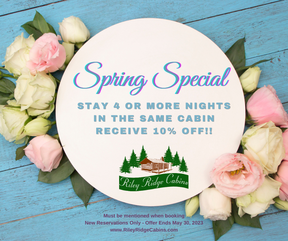 spring specials cabin rental ad