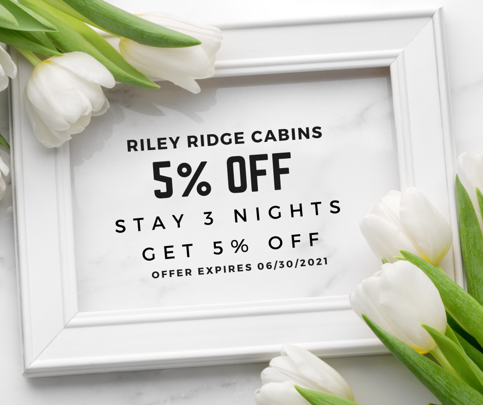 Stay 3 or more nights get 5% off spring Ad