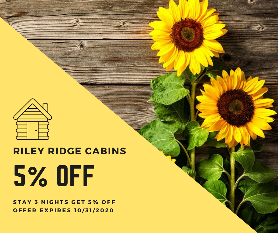Stay 3 or more nights get 5% off. summer Ad